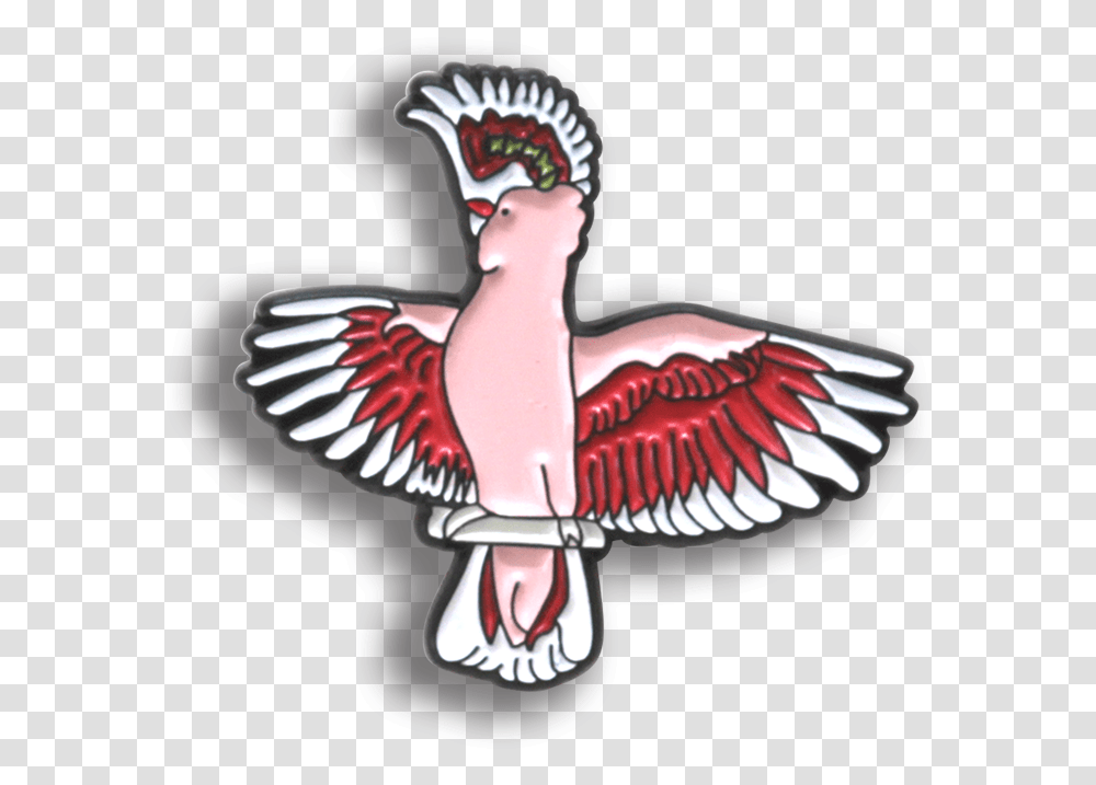 Bald Eagle, Bird, Animal, Flamingo, Vulture Transparent Png