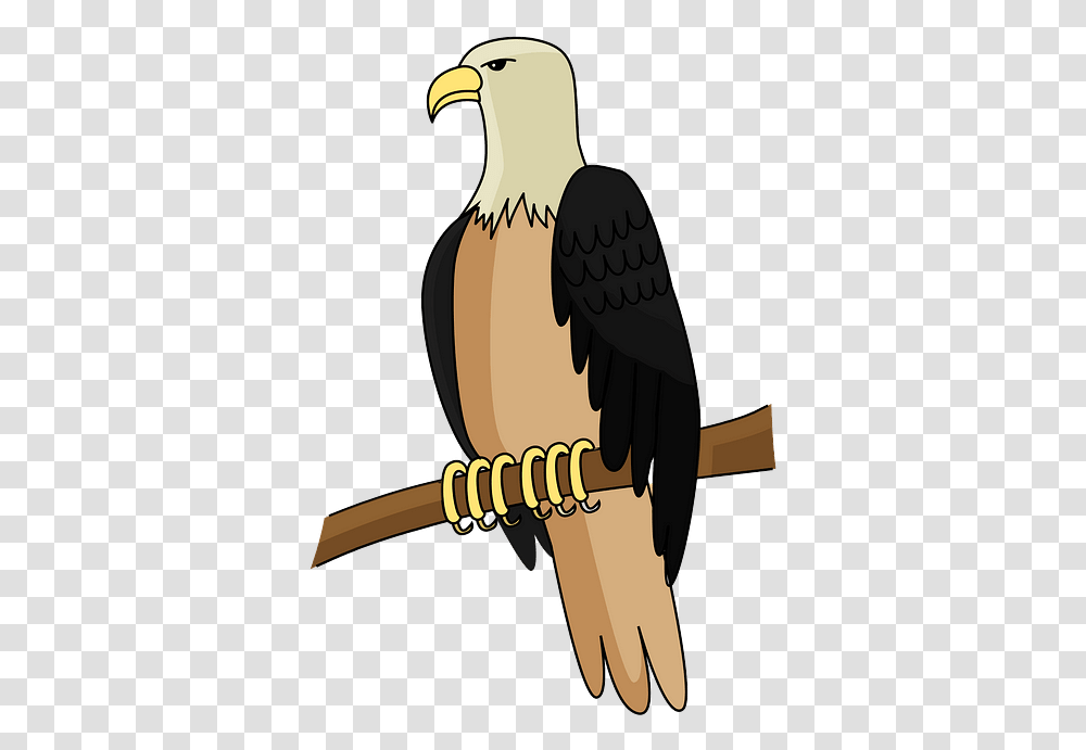 Bald Eagle, Bird, Animal, Hammer, Tool Transparent Png