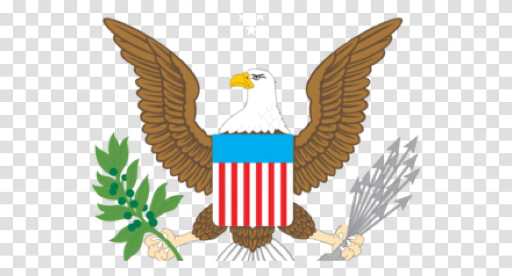 Bald Eagle, Bird, Animal, Emblem Transparent Png