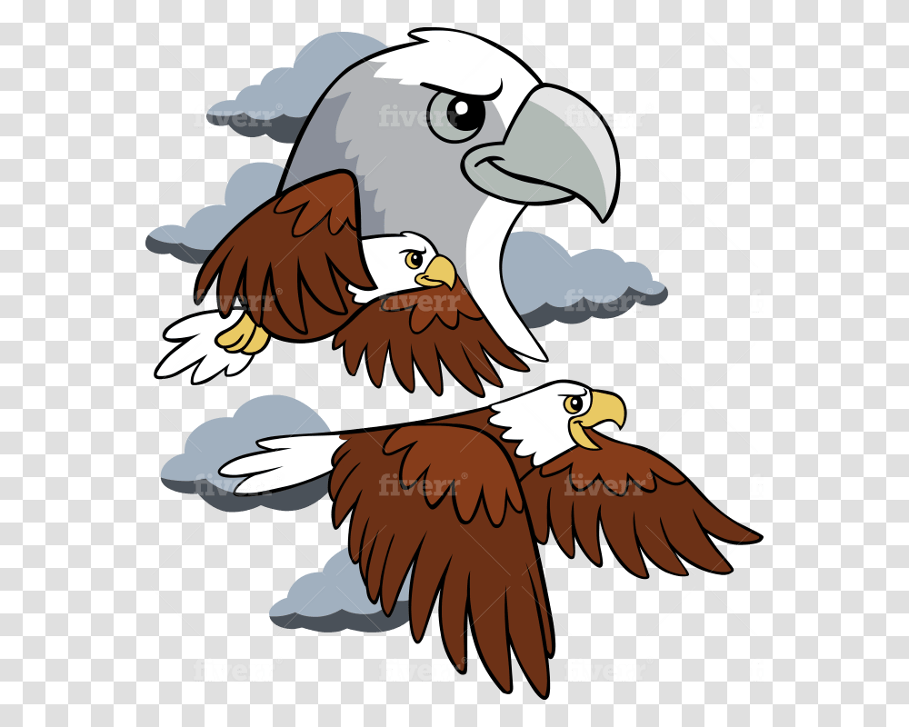 Bald Eagle, Bird, Animal, Vulture, Beak Transparent Png
