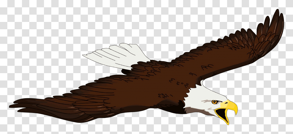 Bald Eagle Bird Beak Clip Art Bald Eagle Art, Animal, Flying, Vulture, Albatross Transparent Png