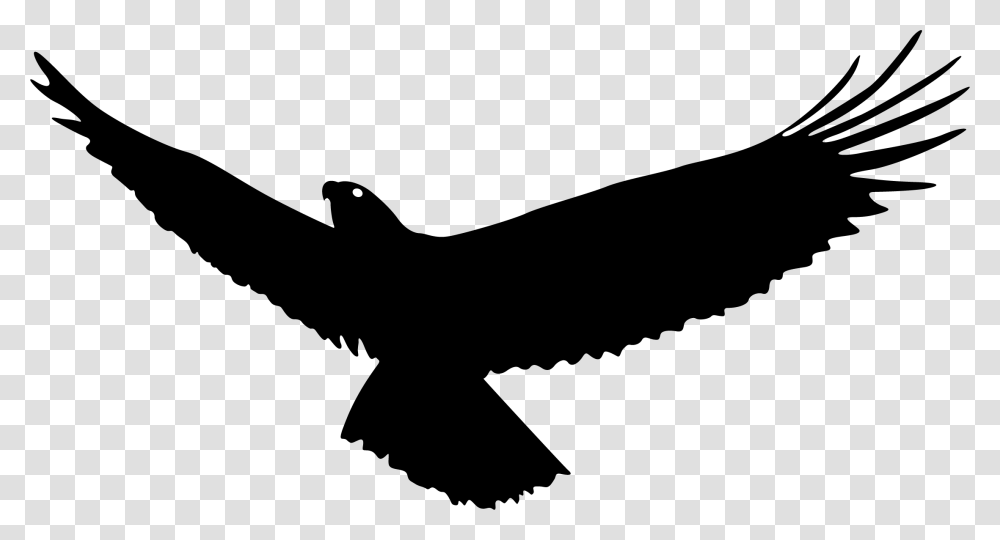 Bald Eagle Bird Flight Flying Eagle Silhouette, Vulture, Animal, Condor Transparent Png