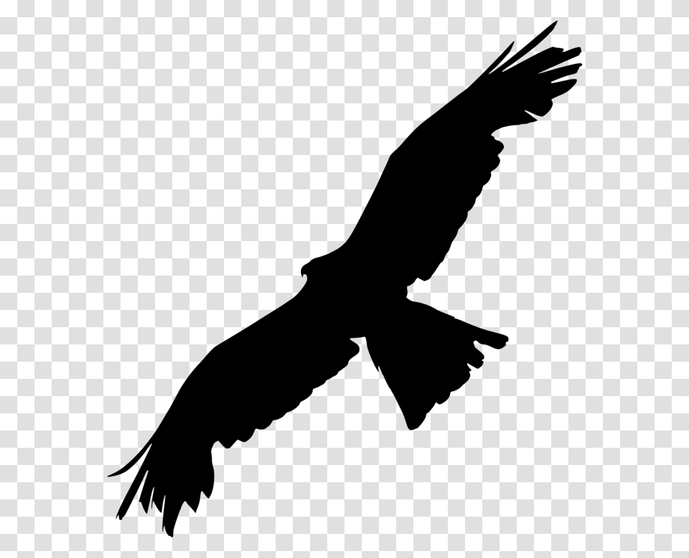 Bald Eagle Bird Of Prey Silhouette, Gray, World Of Warcraft Transparent Png