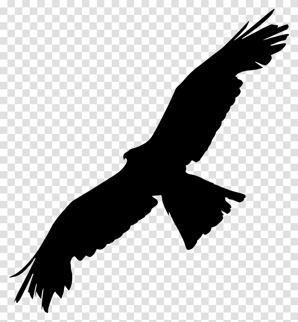 Bald Eagle Bird Of Prey Silhouette Silhouette Raven Spread Wings, Gray, World Of Warcraft, Halo Transparent Png
