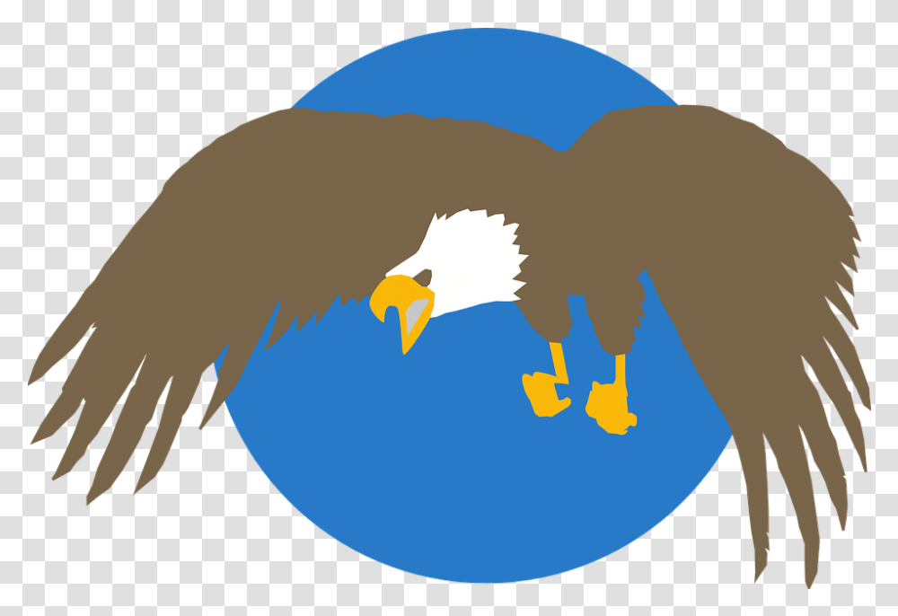 Bald Eagle Blue Circle Eagle Eagle Circle Eagle Circle, Bird, Animal, Flying, Jay Transparent Png