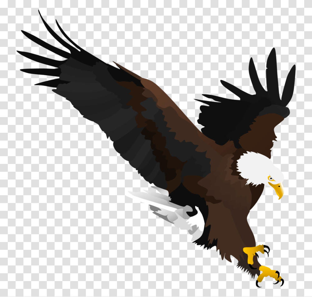 Bald Eagle By Fox Shade Eagle Shade, Bird, Animal, Flying Transparent Png
