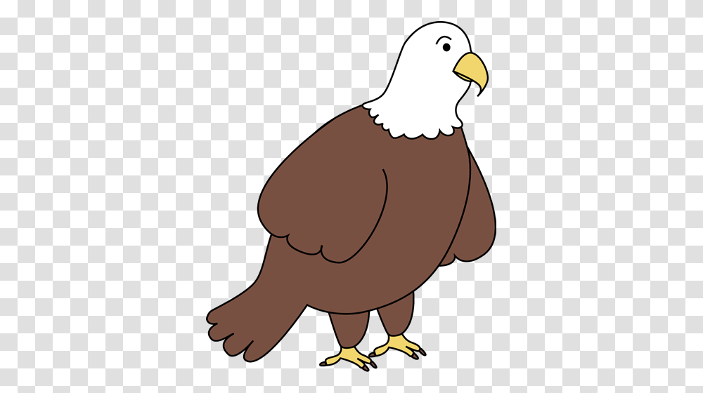 Bald Eagle Clip Art, Bird, Animal, Baseball Cap, Hat Transparent Png