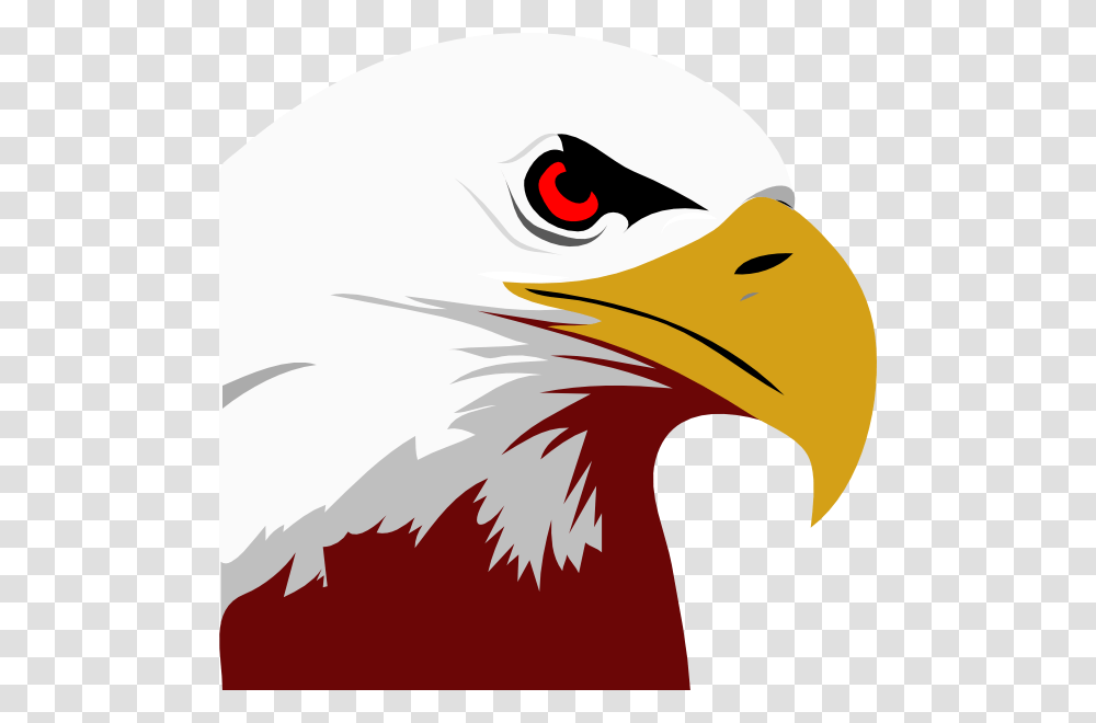 Bald Eagle Clip Art, Bird, Animal, Beak Transparent Png