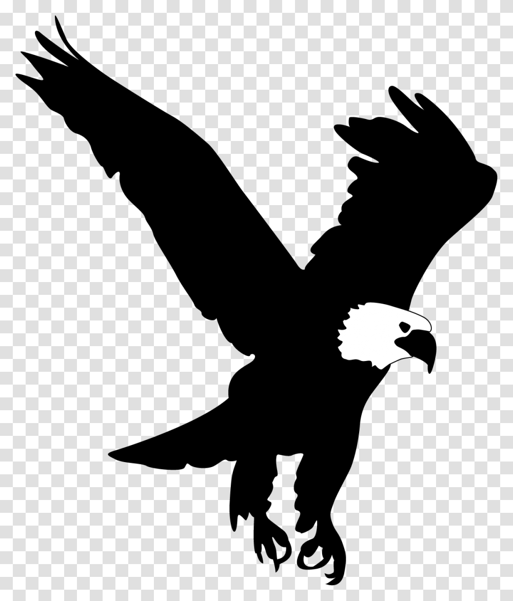 Bald Eagle Clip Art Eagle Pic For Picsart, Bird, Animal, Person, Human Transparent Png