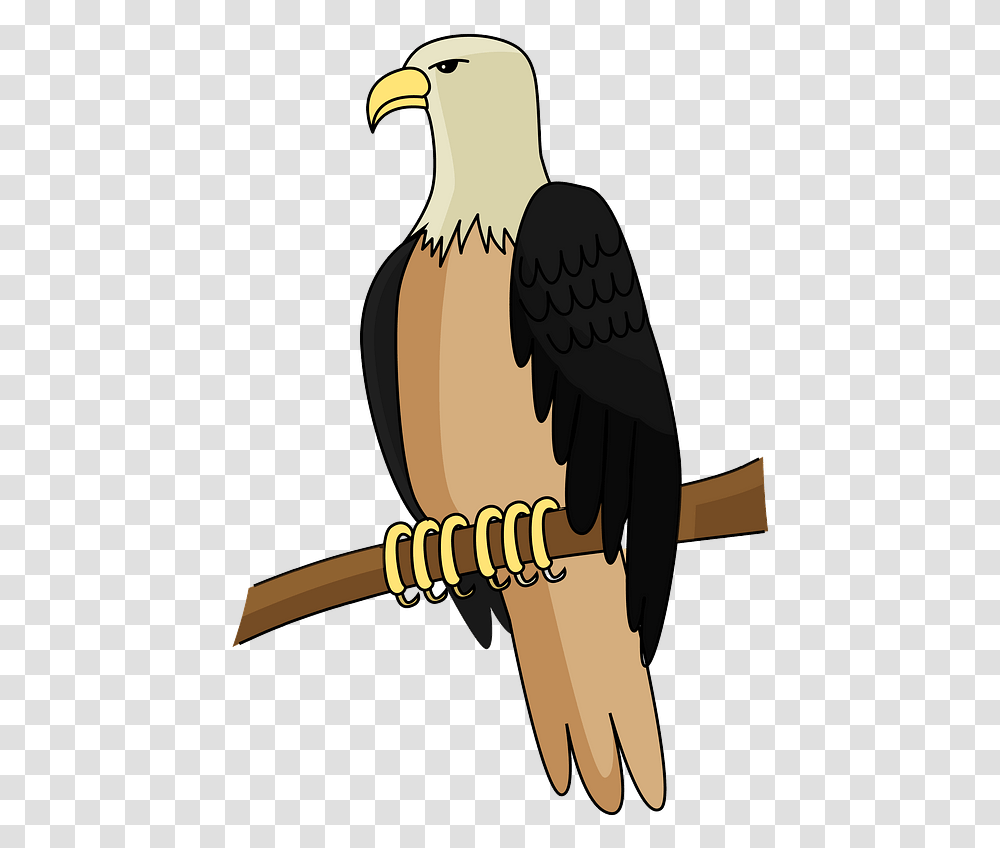 Bald Eagle Clipart Bald Eagle, Bird, Animal, Hammer, Tool Transparent Png