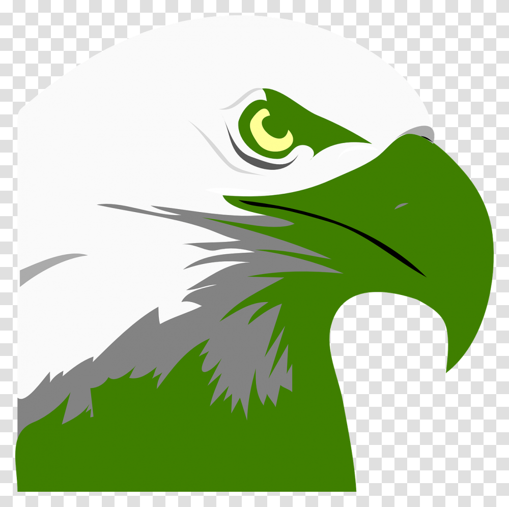 Bald Eagle Clipart, Bird, Animal, Beak Transparent Png