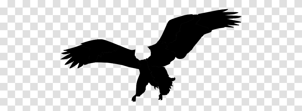 Bald Eagle Clipart Black Silhouette, Stencil, Hook, Claw, Bird Transparent Png