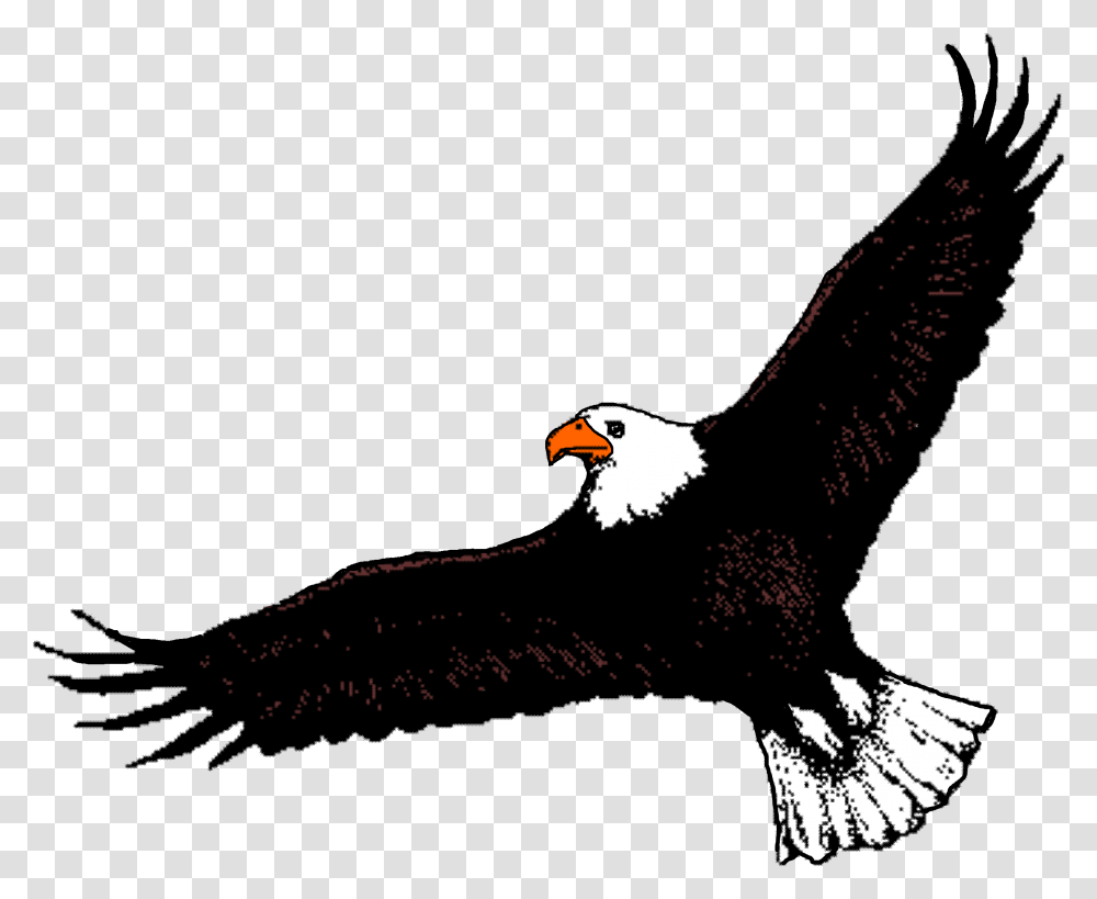 Bald Eagle Clipart Soaring Eagle Flying Eagle Clip Art, Bird, Animal Transparent Png