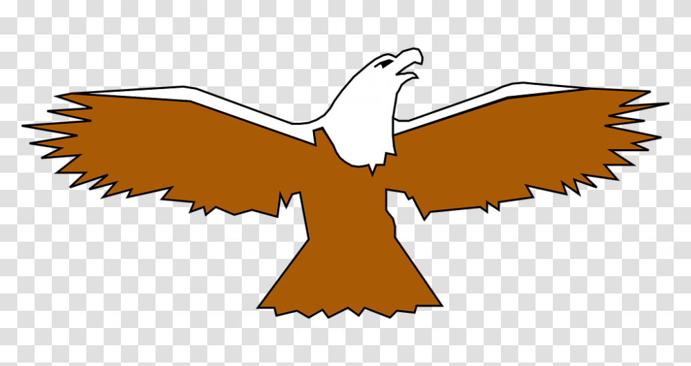 Bald Eagle Clipart Spread Wing, Animal, Mammal, Wildlife, Bat Transparent Png