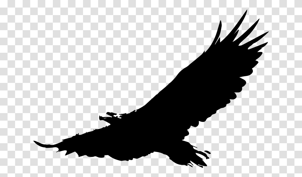 Bald Eagle Download Clip Art Eagle Bird Vector, Gray, World Of Warcraft Transparent Png