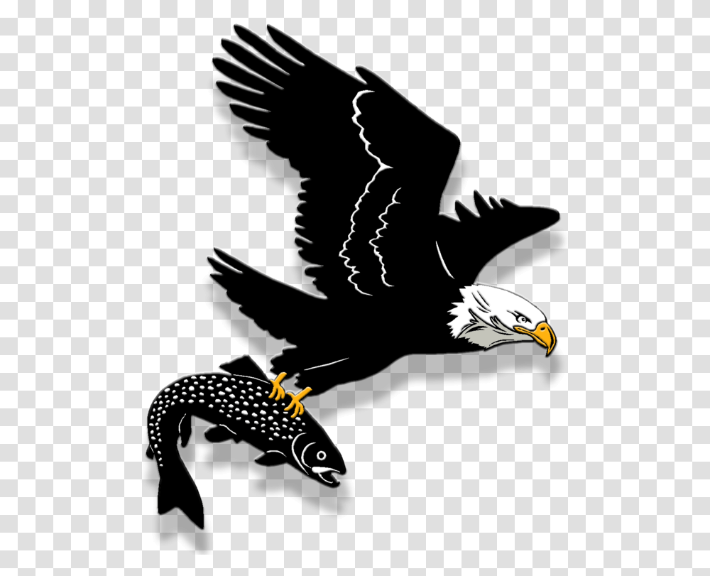 Bald Eagle Download Golden Eagle, Bird, Animal, Person, Human Transparent Png