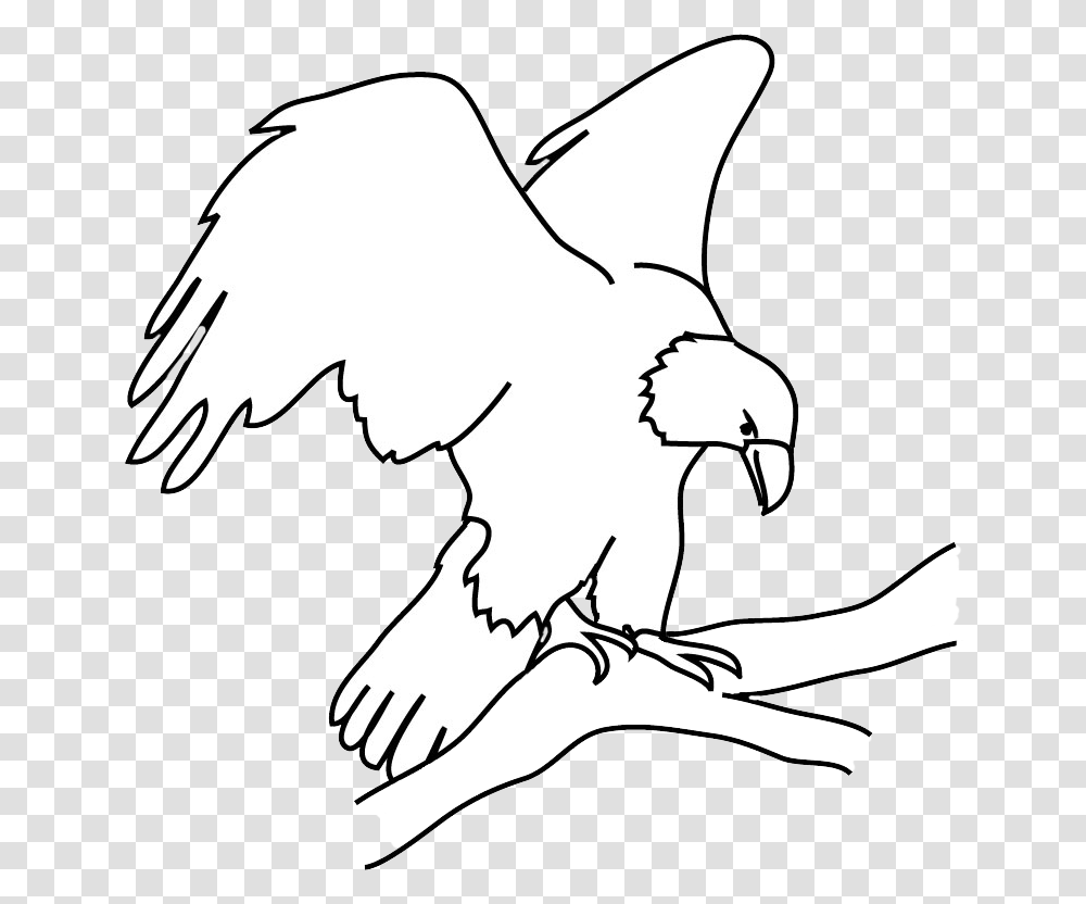 Bald Eagle Drawings Automotive Decal, Bird, Animal, Art, Statue Transparent Png