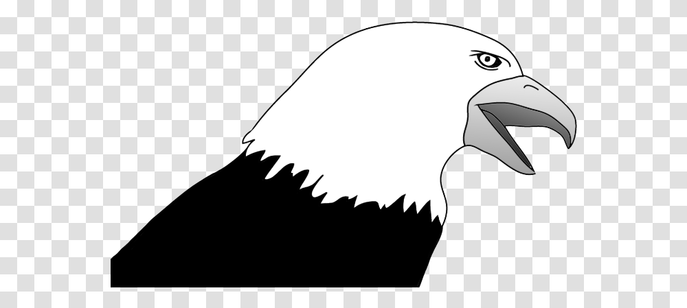 Bald Eagle Drawings Bald Eagle, Vulture, Bird, Animal, Condor Transparent Png