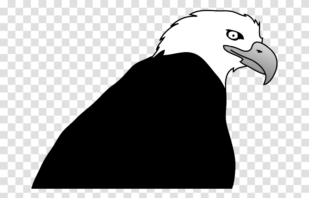 Bald Eagle Drawings, Bird, Animal, Beak Transparent Png