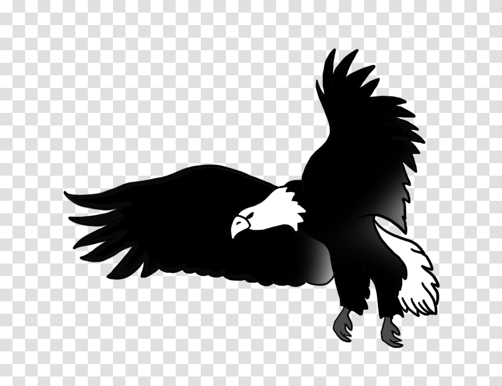 Bald Eagle Drawings, Bird, Animal, Silhouette, Flying Transparent Png