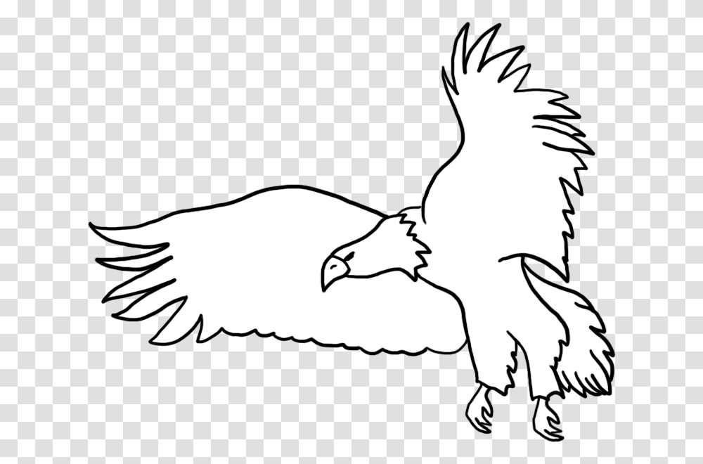 Bald Eagle Drawings Black And White Eagle Drawing, Animal, Bird, Dodo, Stencil Transparent Png