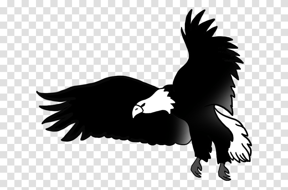 Bald Eagle Drawings Diagram Of An Eagle, Bird, Animal, Flying, Vulture Transparent Png