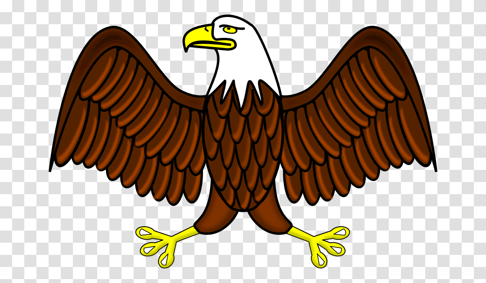 Bald Eagle Eagle Clipart, Bird, Animal, Dinosaur, Reptile Transparent Png