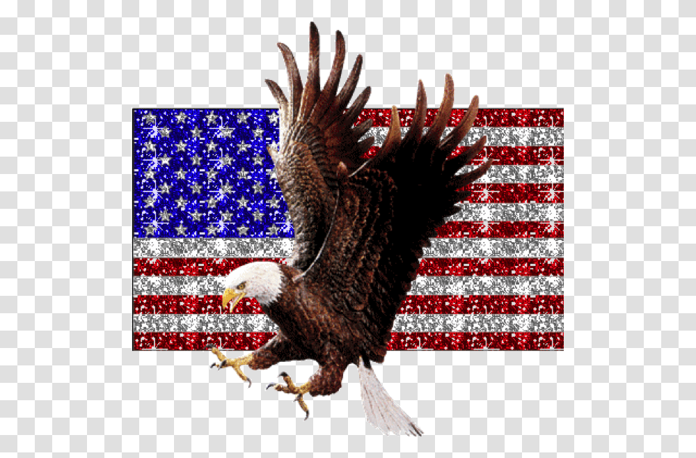 Bald Eagle Flying 4th Of July Cool, Flag, American Flag, Bird Transparent Png