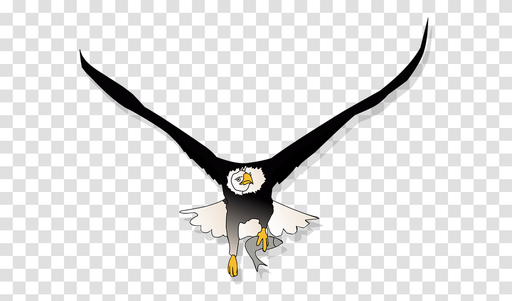 Bald Eagle Flying Cartoon Flying Eagle, Bird Transparent Png