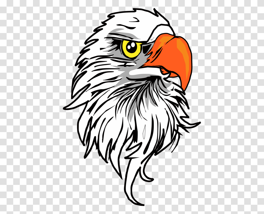 Bald Eagle Golden Eagle Download Computer Icons, Bird, Animal, Zebra, Wildlife Transparent Png