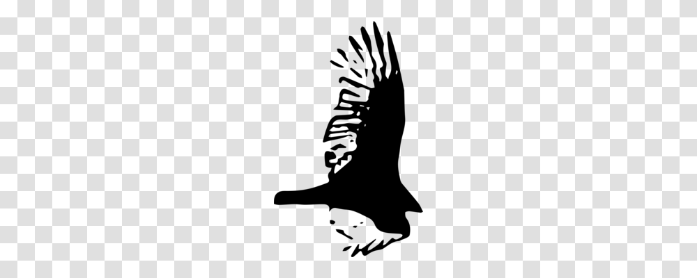 Bald Eagle Hawk Owl Bird, Gray, World Of Warcraft Transparent Png