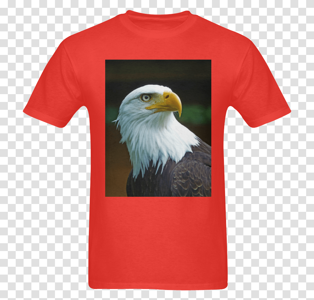 Bald Eagle Head 002 06 Sunny Men's T Shirt Bald Eagle, Apparel, Bird, Animal Transparent Png