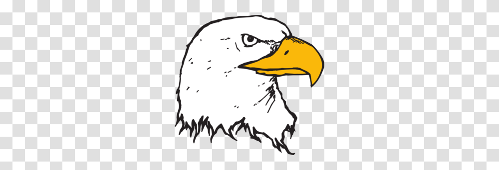 Bald Eagle Head Clip Art Animals, Beak, Bird, Seagull, Goose Transparent Png
