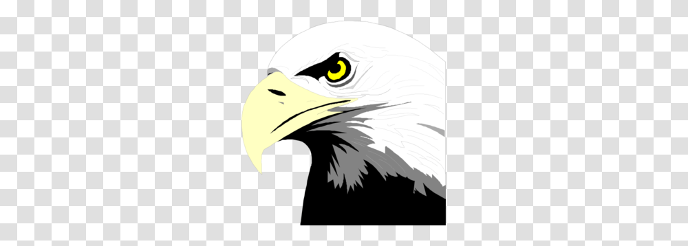 Bald Eagle Head Clip Art, Bird, Animal, Beak Transparent Png