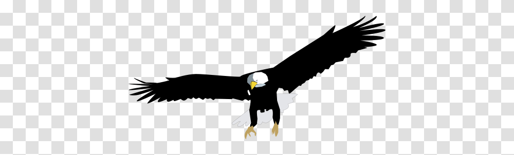 Bald Eagle Illustration, Bird, Animal Transparent Png