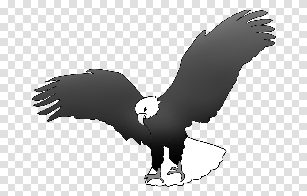 Bald Eagle Landing Drawing Black And White Drawing Of An Eagle, Vulture, Bird, Animal, Condor Transparent Png