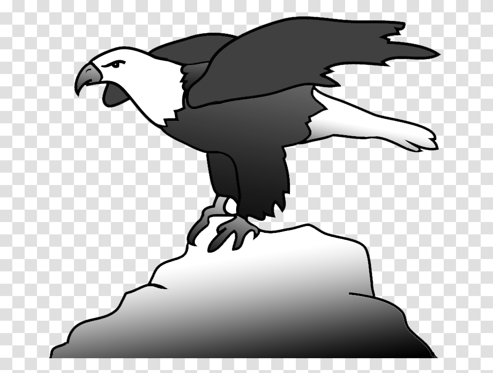 Bald Eagle On A Rock Clipart Bald Eagle, Vulture, Bird, Animal, Condor Transparent Png