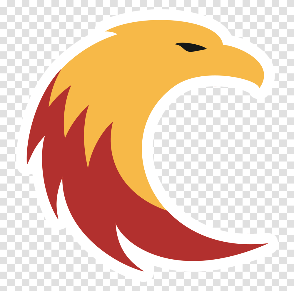 Bald Eagle, Outdoors, Nature, Logo Transparent Png