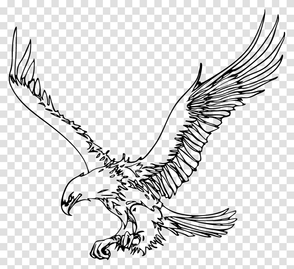 Bald Eagle Pig Drawing Clip Art Outline Images Of Eagle, Gray, World Of Warcraft Transparent Png