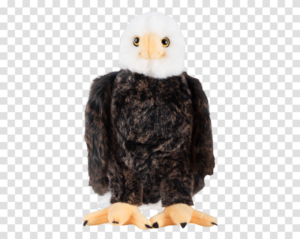 Bald Eagle Plush Eagle Stuffed Animal Background, Bird, Vulture, Beak, Cat Transparent Png