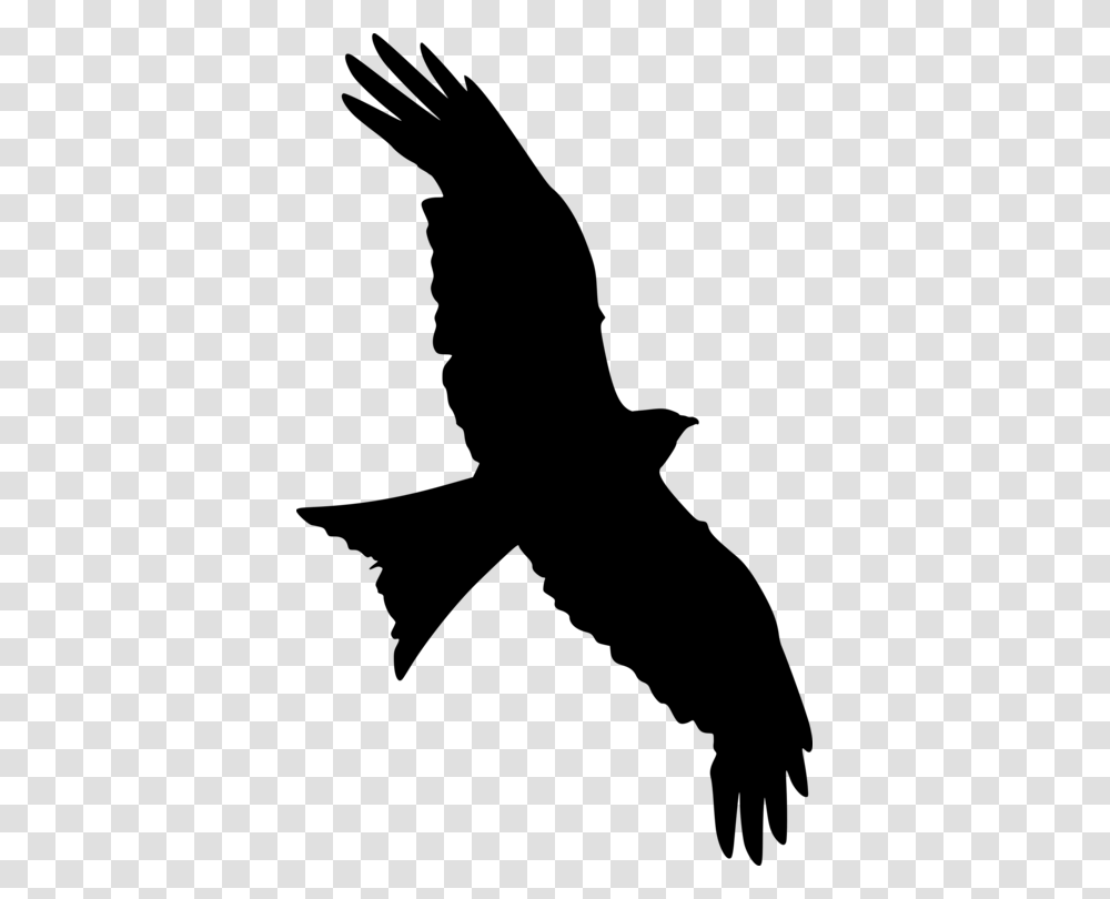 Bald Eagle Silhouette Bird Falcon Star Wars, Gray, World Of Warcraft Transparent Png