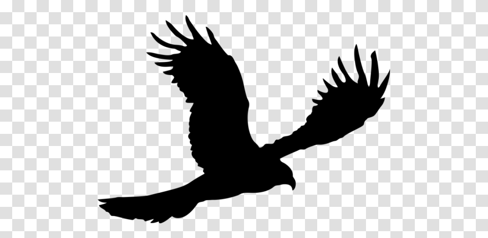 Bald Eagle Silhouette Native American Silhouette Feathers, Gray, World Of Warcraft Transparent Png