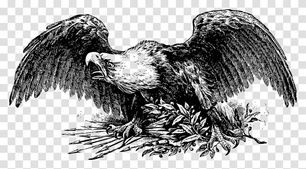 Bald Eagle Spread Wings Raptor Predator Symbol War Eagle Clipart, Gray, World Of Warcraft Transparent Png