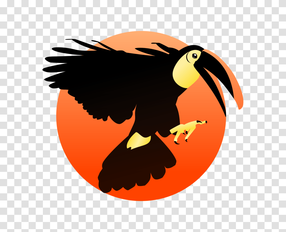 Bald Eagle Toucan Woodpecker Bird Beak, Animal, Penguin, Blackbird, Agelaius Transparent Png