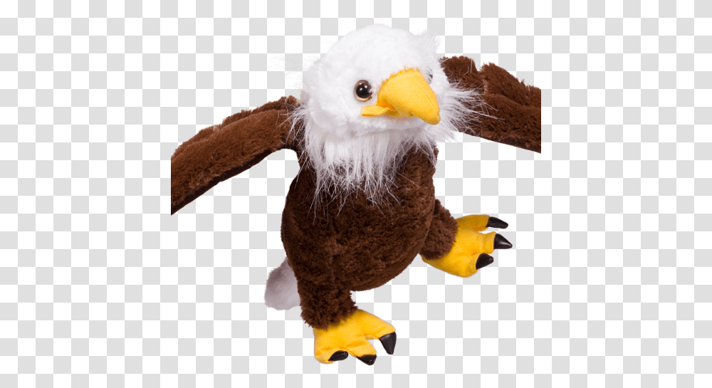 Bald Eagle, Toy, Beak, Bird, Animal Transparent Png