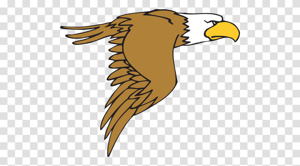 Bald Eagle White Tailed Eagle Drawing Clip Art, Flying, Bird, Animal, Vulture Transparent Png