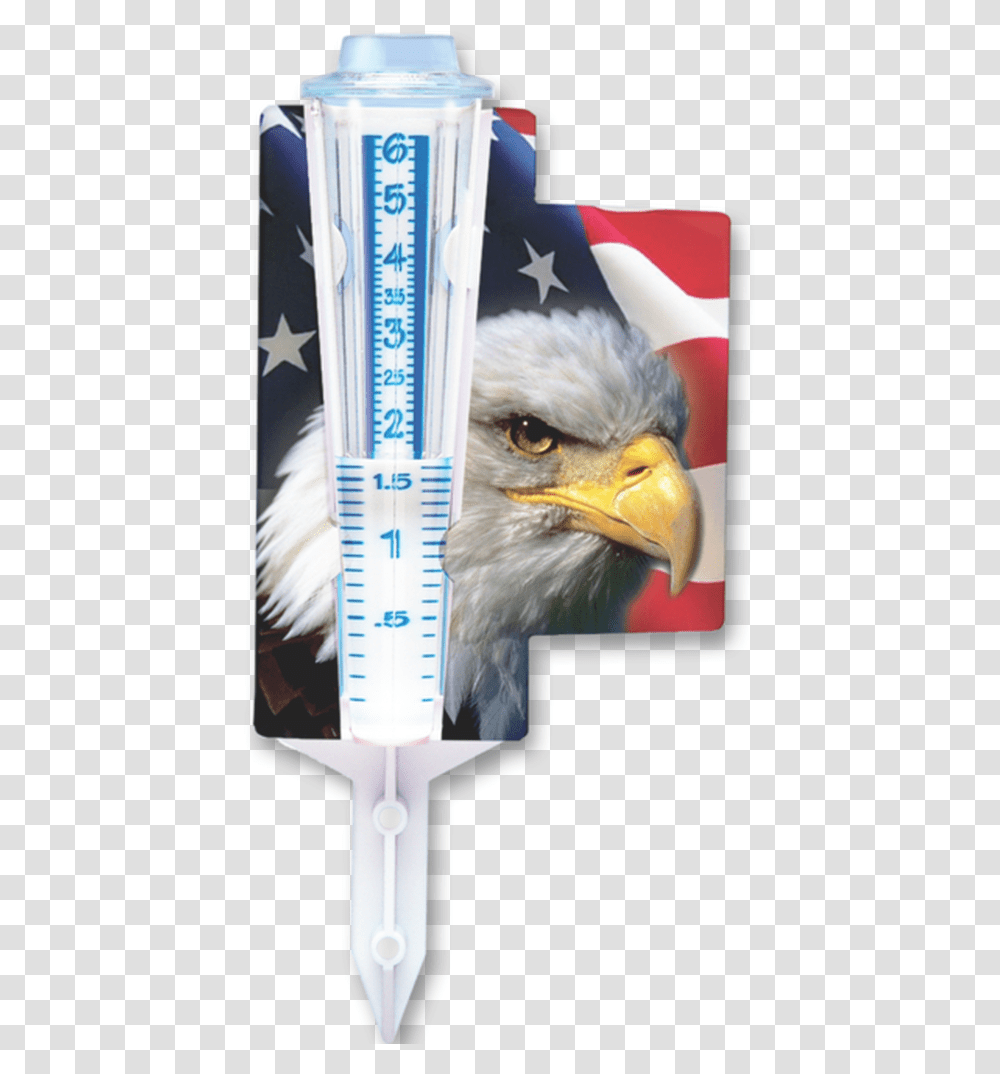 Bald Eagle With American Flag Cbtis Fronterizo, Bird, Animal, Plot, Diagram Transparent Png