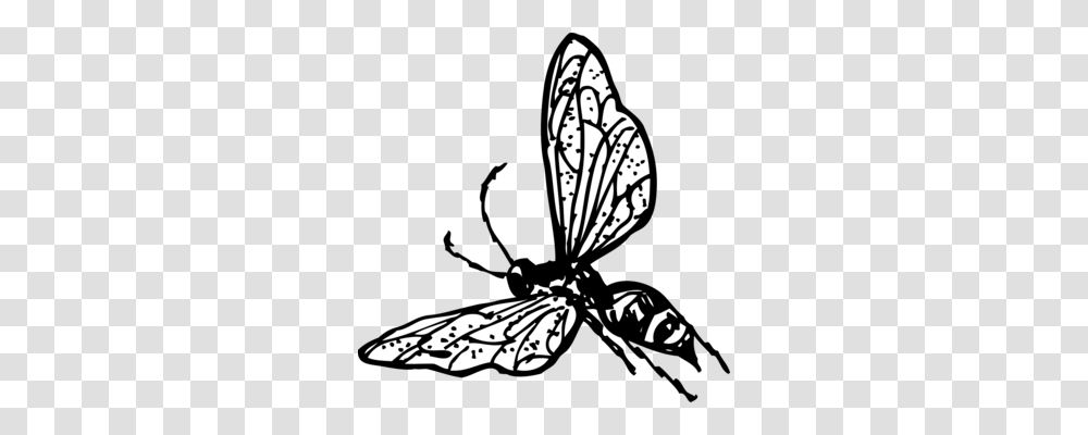 Bald Faced Hornet Insect Wasp Bee, Invertebrate, Animal, Andrena Transparent Png