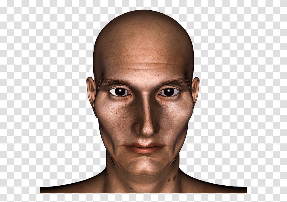 Bald Human, Head, Face, Person, Skin Transparent Png