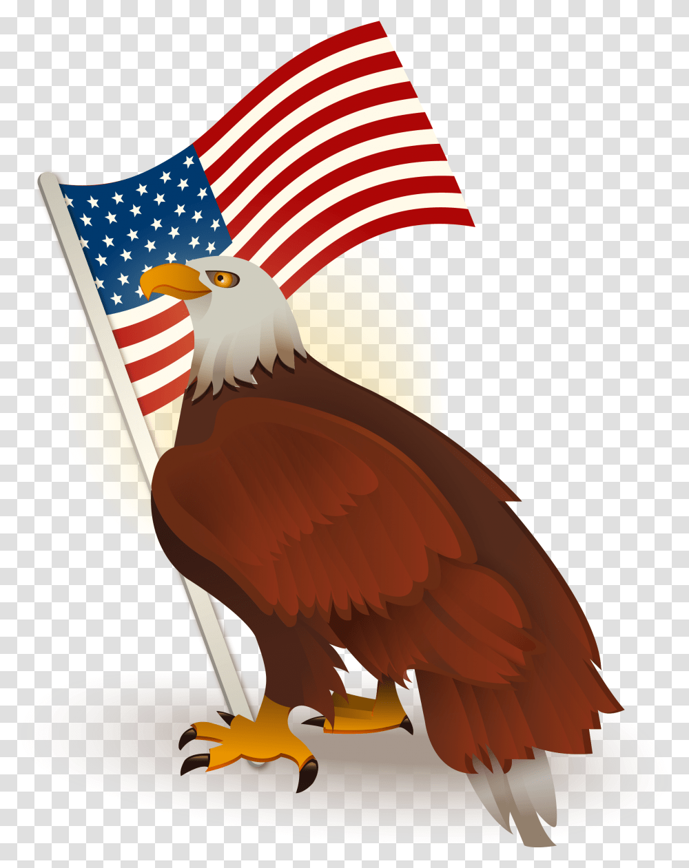 Bald Of The Clip Art American Flag And Bald Eagle Clipart, Bird, Animal Transparent Png